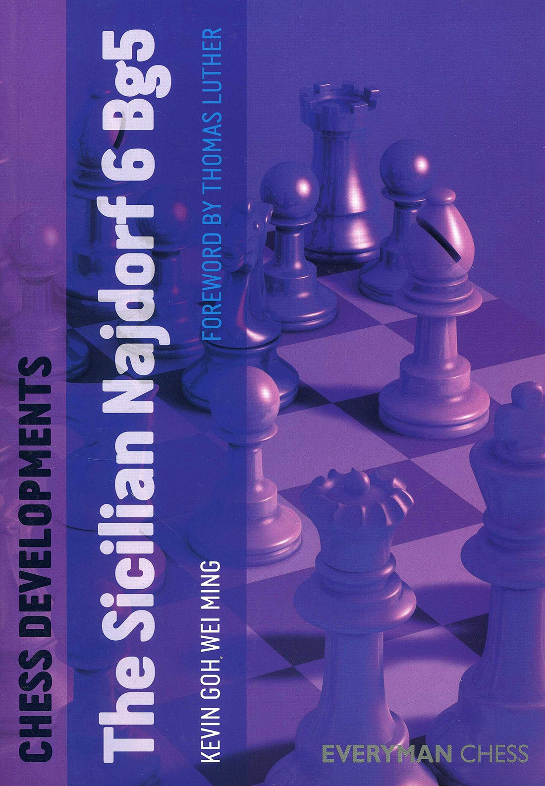 Chess Developments: Sicilian Najdorf 6 Bg5 front cover